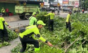 047381500_1767461221-Pohonn