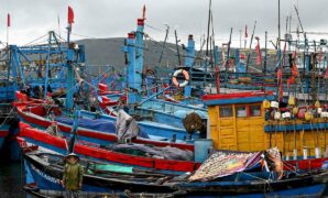 048142000_1762418883-1