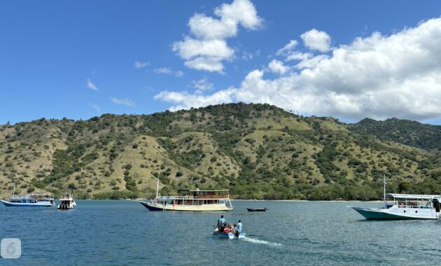 067350900_1715333655-IMG_0240