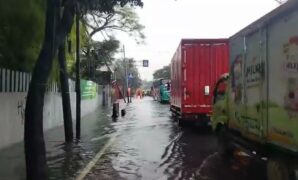 077807500_1769052305-33c6435b-0287-4862-9d45-1f7cbcc2d5dc