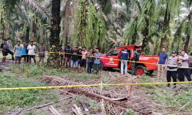 079662400_1765624715-1000834205 (1)