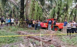 079662400_1765624715-1000834205