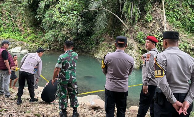 081328500_1767374710-1000885642