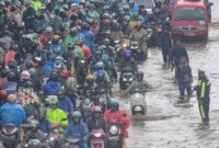 081739900_1769144170-daan4