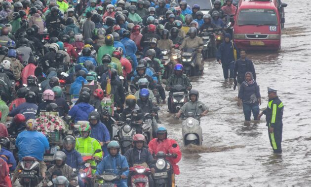 081739900_1769144170-daan4