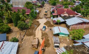 082582600_1764322636-8