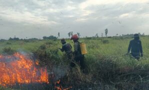 097381300_1769434894-1000951836