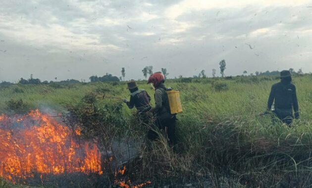 097381300_1769434894-1000951836