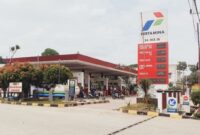 005487000_1771672926-1002955017