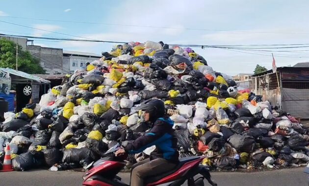 016786300_1763112447-IMG-20251114-WA0006