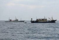 030326400_1770952827-Untitled