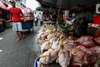 054233600_1662361652-Imbas_Kenaikan_BBM__Harga_Pangan_Naik-TALLO_6