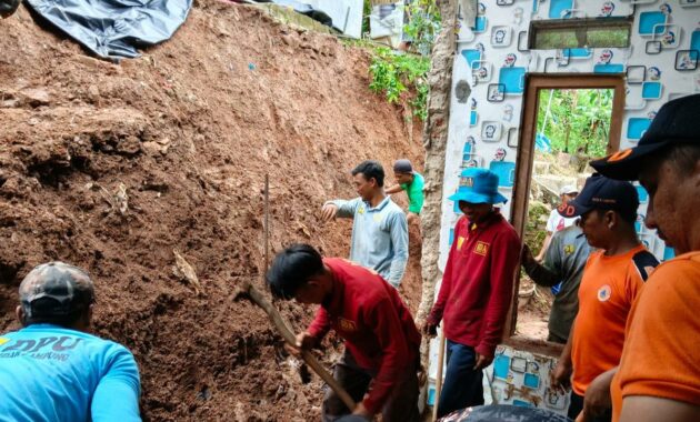 060778400_1771839984-1001029874