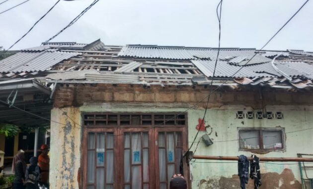 066309500_1771498115-1001222393