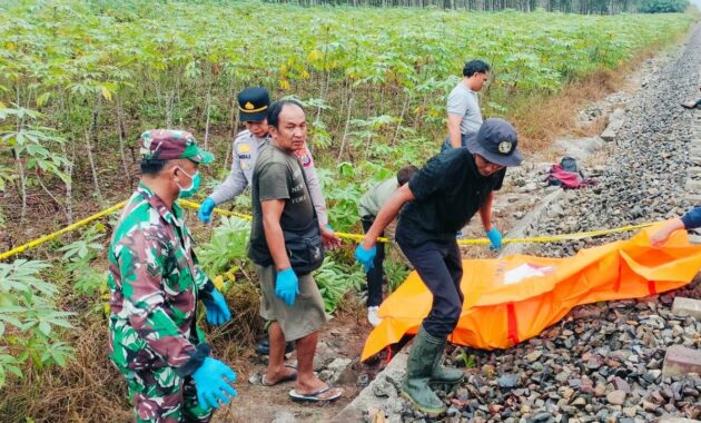 090381500_1771320724-8e479e0f-404d-40cd-a6eb-9a050af453b5