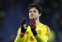 senne-lammens-1771913408699_169