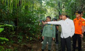 000660000_1769616137-ef6ea7e6-533d-4527-8b68-8464b32c2796