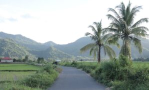 017521800_1774874848-241575ee-9c82-4d4b-a88f-45aac8dbed34