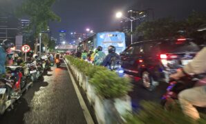 033100600_1774874510-10137