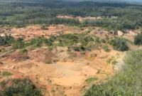 050065900_1773183279-Tambang_emas_ilegal_di_Lampung