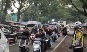 052481800_1774265644-277356