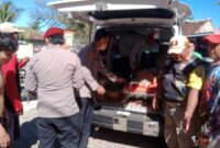 068308800_1774279542-277503