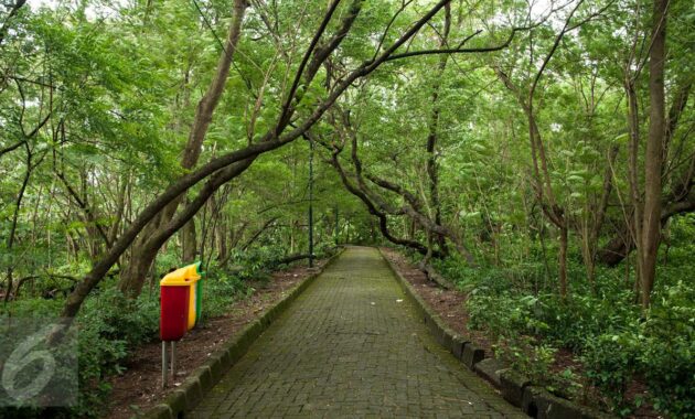 096478800_1490778618-Pemprov-DKI-Siapkan-Rp-1_5-Miliar-untuk-Benahi-4-Hutan-Kota4