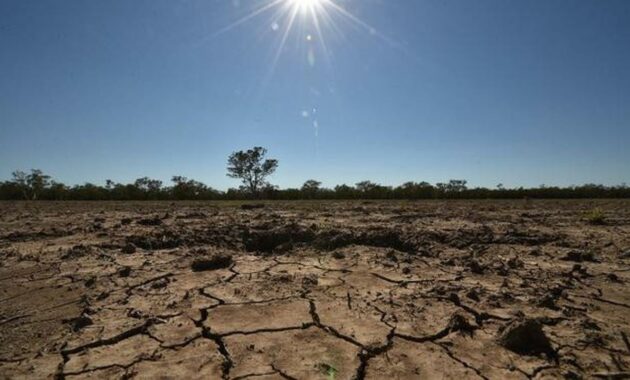 008617600_1578455482-066164900_1518927856-000_Hkg10151632