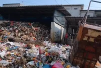 054104500_1784167802-Sampah_menumpuk_di_Waduk_Pluit