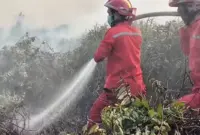 005801700_1792320808-Petugas_memadamkan_api_di_taman_nasional_berbak